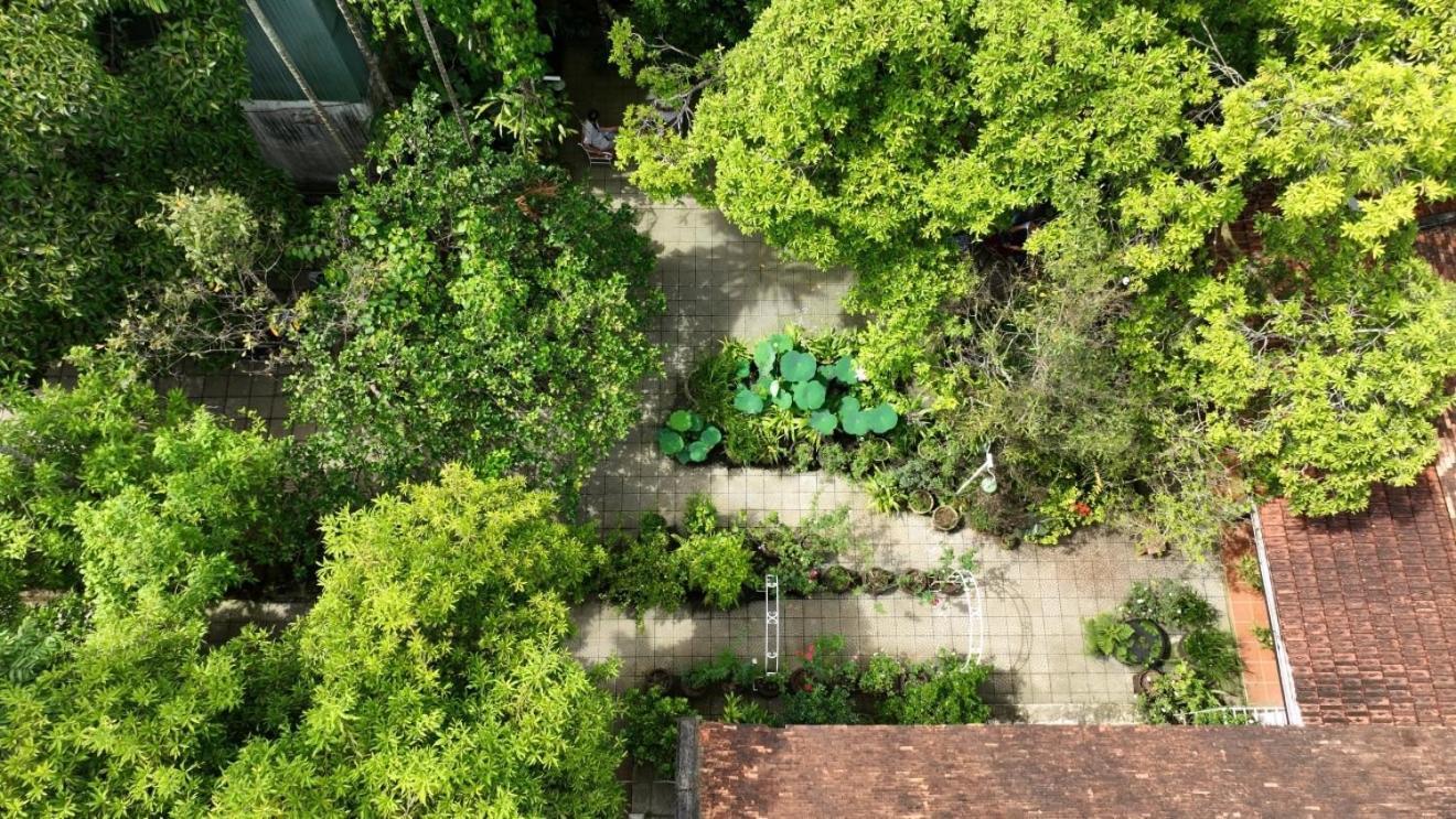 Cung Đàn Xưa Homestay Huế Ngoại thất bức ảnh